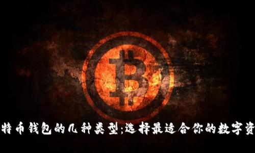 全面解析比特币钱包的几种类型：选择最适合你的数字资产管理方式
