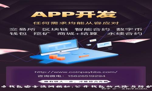 比特币钱包安全漏洞揭秘：公开钱包的风险与防护措施