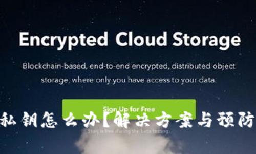 忘记TRX钱包私钥怎么办？解决方案与预防措施全面解析