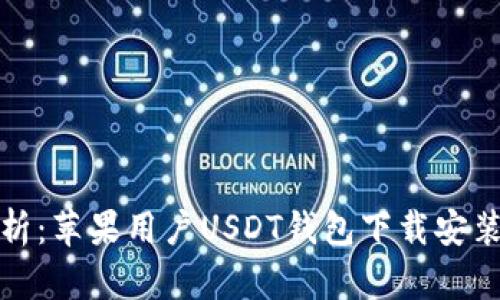 全面解析：苹果用户USDT钱包下载安装全攻略