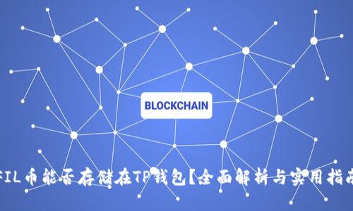 FIL币能否存储在TP钱包？全面解析与实用指南