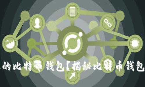 如何选择合适的比特币钱包？揭秘比特币钱包的种类与特点