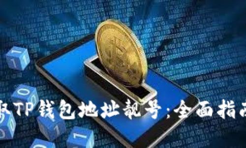 如何快速获取TP钱包地址靓号：全面指南与实用技巧