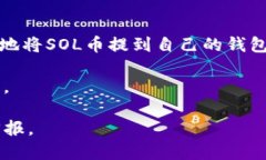   SOL币如何安全提到钱包？