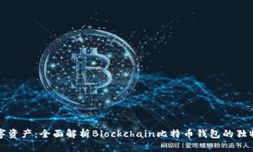 保护你的数字资产：全面解析Blockchain比特币钱包的独特优势与创新