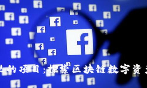 TP钱包里的项目：探索区块链数字资产的未来