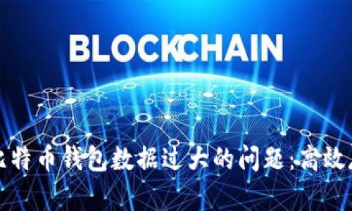 如何管理比特币钱包数据过大的问题：高效存储与方法