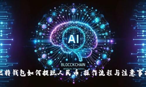 比特钱包如何提现人民币：操作流程与注意事项