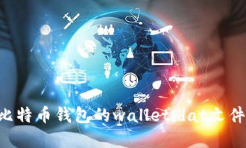 如何解密比特币钱包的wallet.dat文件：全面指南