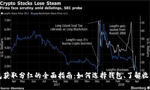 Pepe币放钱包获取分红的全面指南：如何选择钱包、了解收益机制与风险