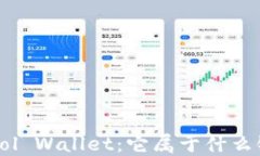 深入了解Sol Wallet：它属于