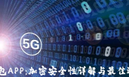 
USDT钱包APP：加密安全性详解与最佳选择指南