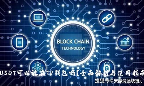 USDT可以放在TP钱包吗？全面解析与使用指南