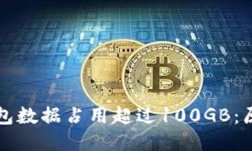 比特币钱包数据占用超过100GB：原因及技巧