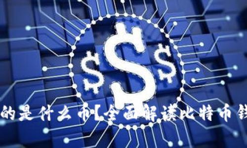 比特币钱包存放的是什么币？全面解读比特币钱包的功能与使用