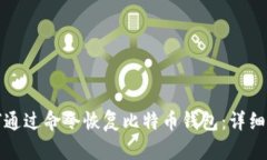 如何通过命令恢复比特币