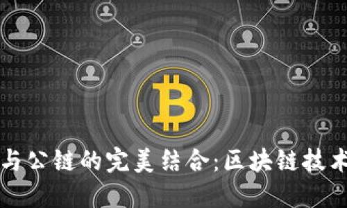 TP钱包与公链的完美结合：区块链技术的未来
