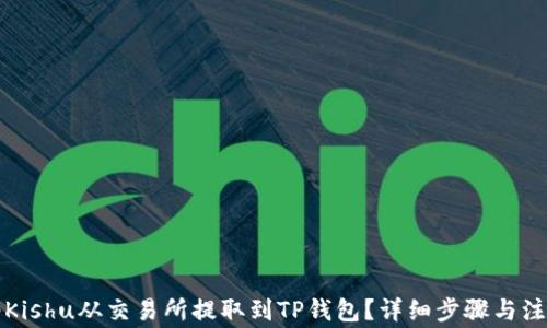 
如何将Kishu从交易所提取到TP钱包？详细步骤与注意事项