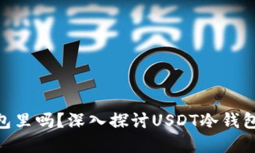  USDT可以放在冷钱包里吗？深入探讨USDT冷钱包的安全性与使用方式