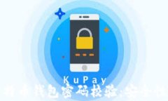 全面解析比特币钱包密码