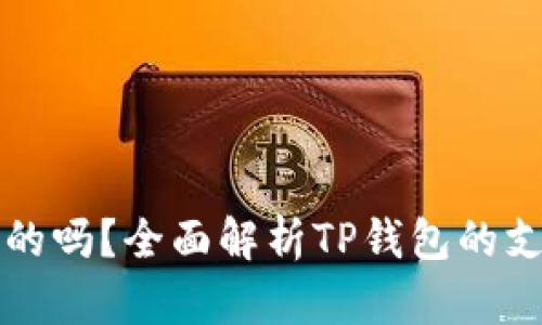TP钱包是全球通用的吗？全面解析TP钱包的支持币种及使用范围