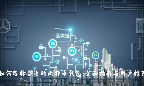 如何选择合适的比特币钱包：全面指南与用户推荐