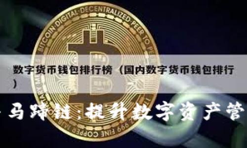 深入了解TP钱包与马蹄链：提升数字资产管理效率的最佳选择