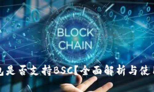 TP钱包是否支持BSC？全面解析与使用指南