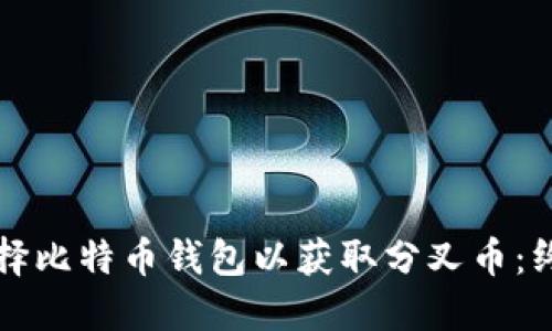 如何选择比特币钱包以获取分叉币：终极指南