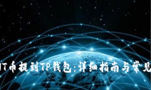 如何将VNT币提到TP钱包：详细指南与常见问题解答