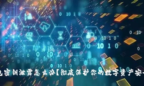 TP钱包密钥泄露怎么办？彻底保护你的数字资产安全指南