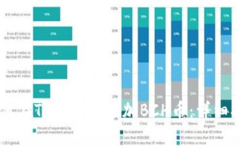 如何在TP钱包中添加BCH币：详细指南