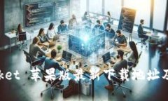 TokenPocket 苹果版最新下载地址及使用指南