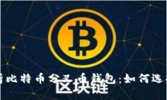 全面解析比特币分叉币钱包：如何选择和使用