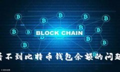 如何解决看不到比特币钱包余额的问题：全面指