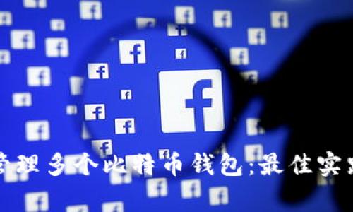 如何选择和管理多个比特币钱包：最佳实践与注意事项