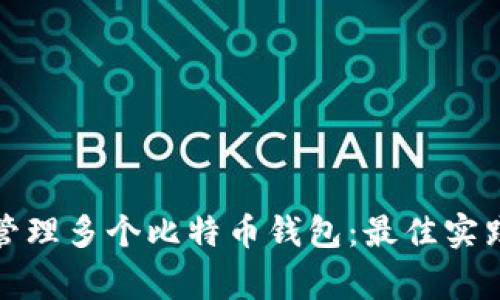 如何选择和管理多个比特币钱包：最佳实践与注意事项