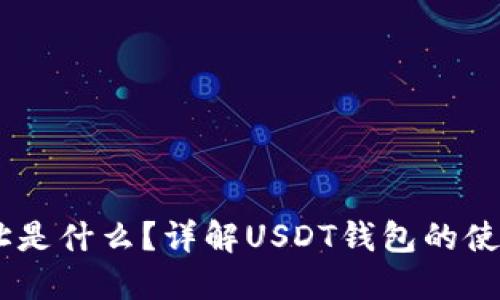 USDT钱包地址是什么？详解USDT钱包的使用与安全策略
