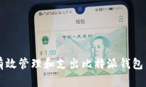 如何有效管理和支出比特派钱包中的币