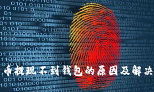 比特币提现不到钱包的原因及解决方案