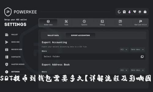USDT提币到钱包需要多久？详解流程及影响因素