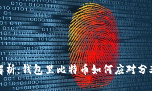 比特币分叉的深入解析：钱包里比特币如何应对分叉带来的挑战与机遇